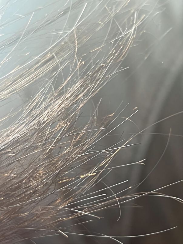 Split Ends Vs. Healthy Hair