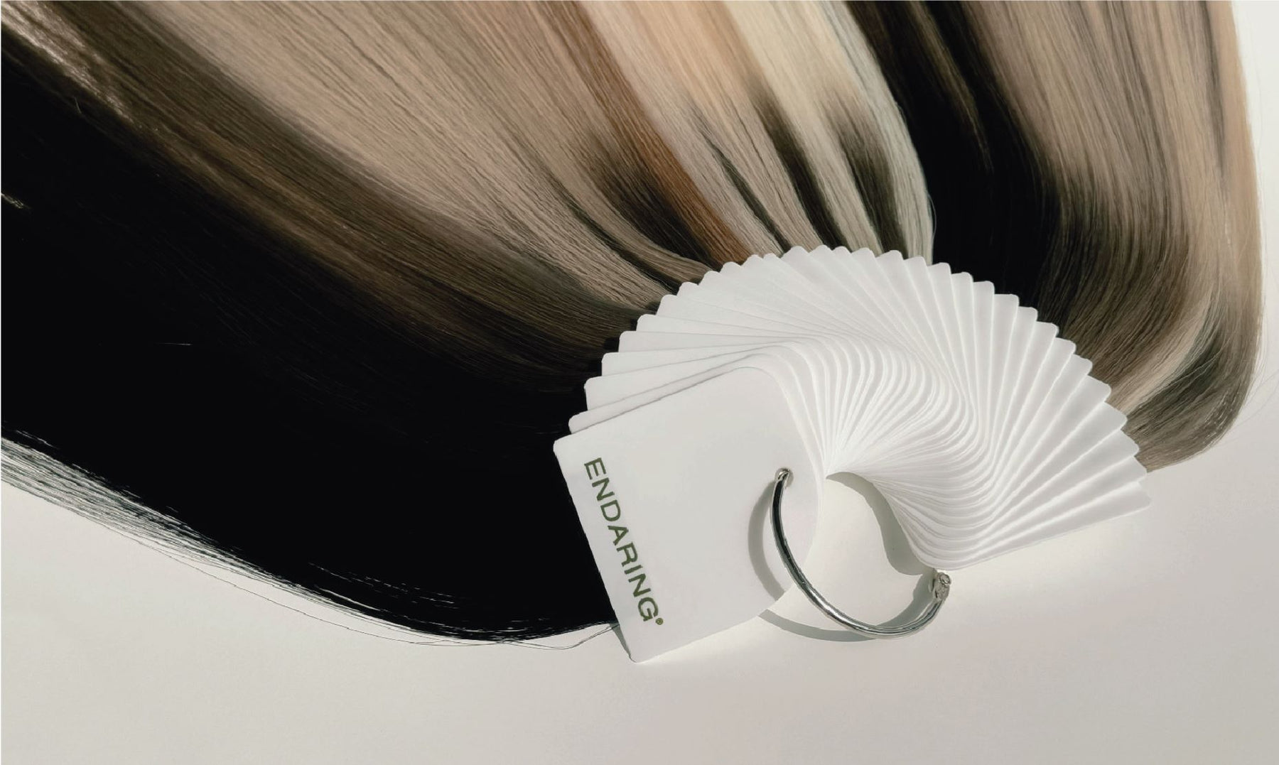 color ring.jpg__PID:4760bfed-17a1-411b-9ea2-1f04f5c0d11f