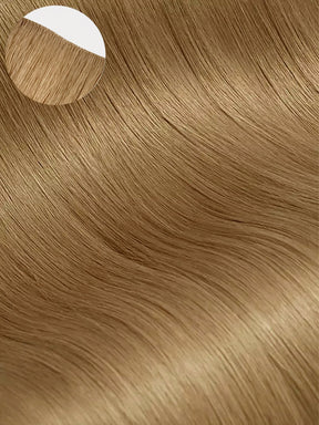Ash_Brown_1