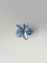 Coastal Petal Claw