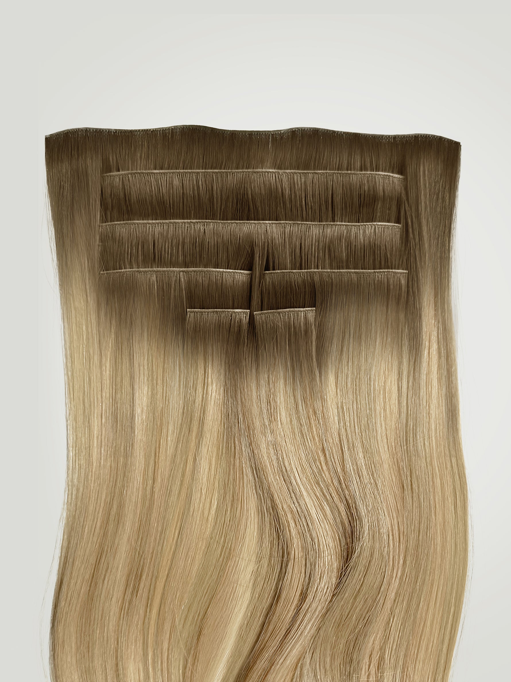 Natural Bronde Balayage